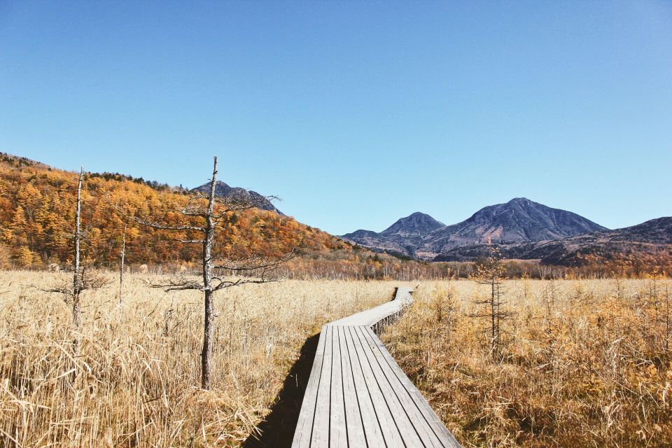 From Tokyo: Private Day Trip to Nikko - Location Information