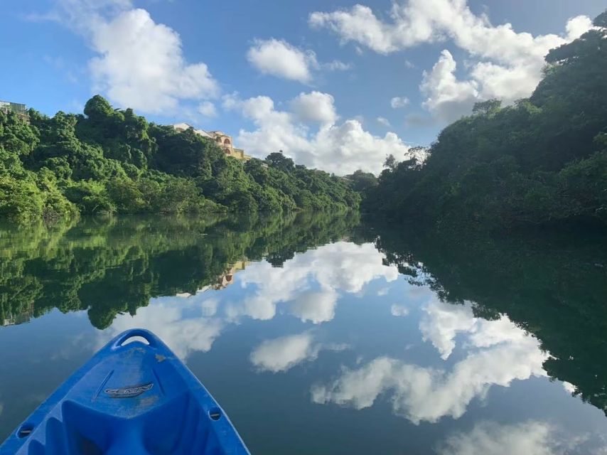 Okinawa: Mangrove Kayaking Tour - Tour Experience and Highlights