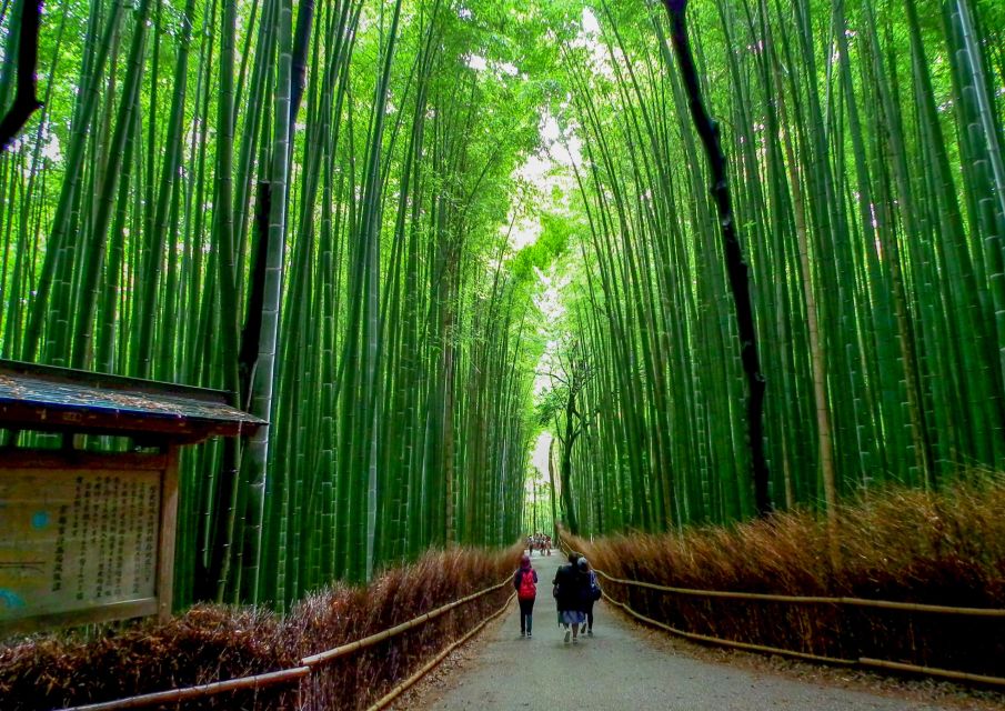Kyoto: Japanese Gardens Private Customizable Tour - Transportation Options