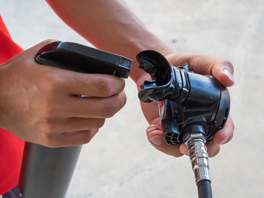 Naha, Okinawa: Kerama Islands Half-Day Whale Watching Tour - Experience the Magic of Whale Watching