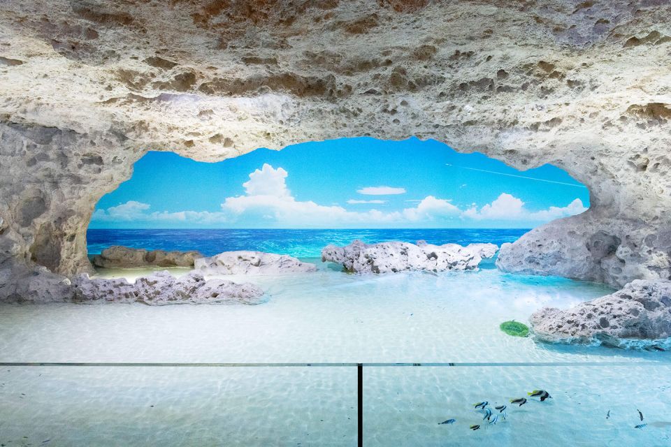 Tomigusuku: DMM Kariyushi Aquarium Admission - Inclusions