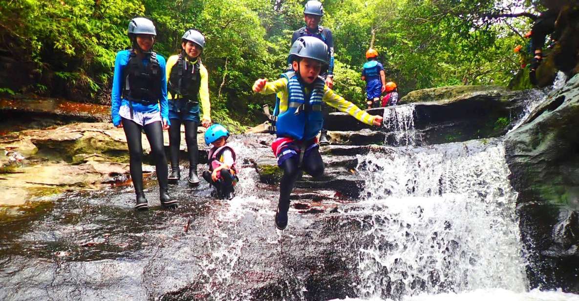 Iriomote Island: Kayaking and Canyoning Tour - Small Group and Eco-friendly Adventure