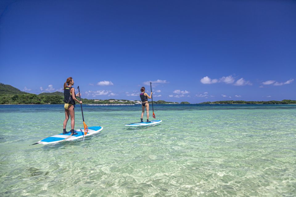 Ishigaki Island: Kayaking and Snorkeling Day at Kabira Bay - Selecting Participants and Date
