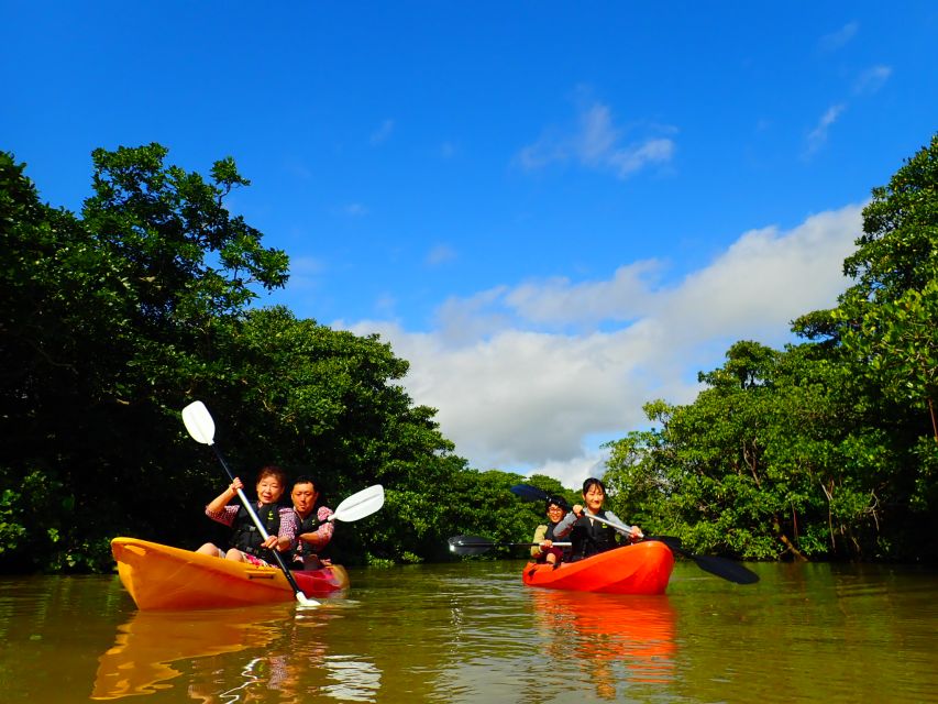 Ishigaki Island: 2-Hour Miyara River Kayaking Tour - Experience