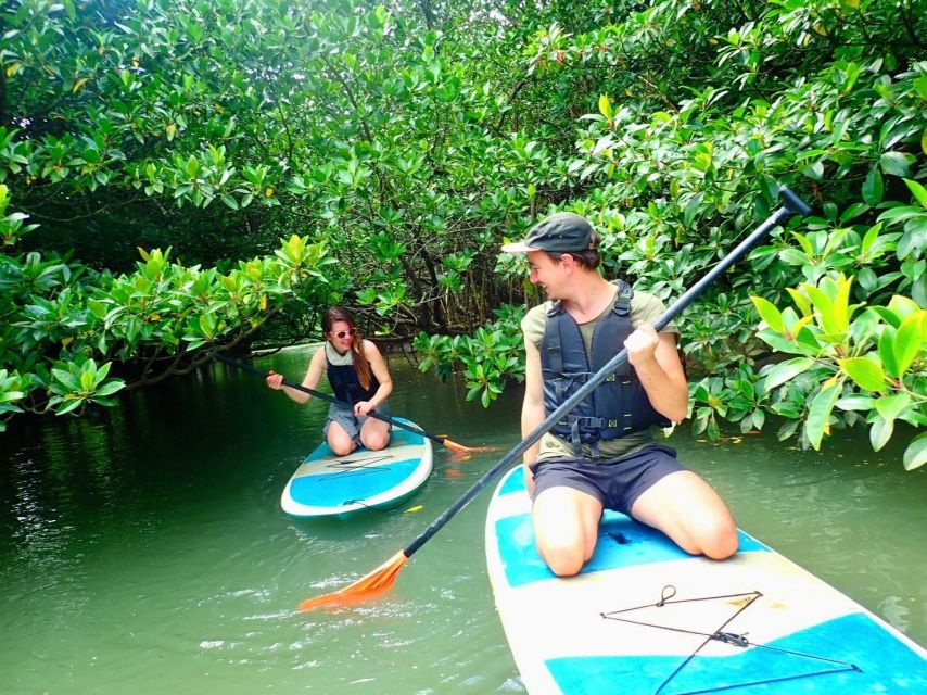 Ishigaki Island: 2-Hour Miyara River Kayaking Tour - The Sum Up