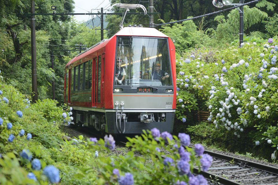 Hakone and Kamakura: 3-day Rail Pass - Additional Information