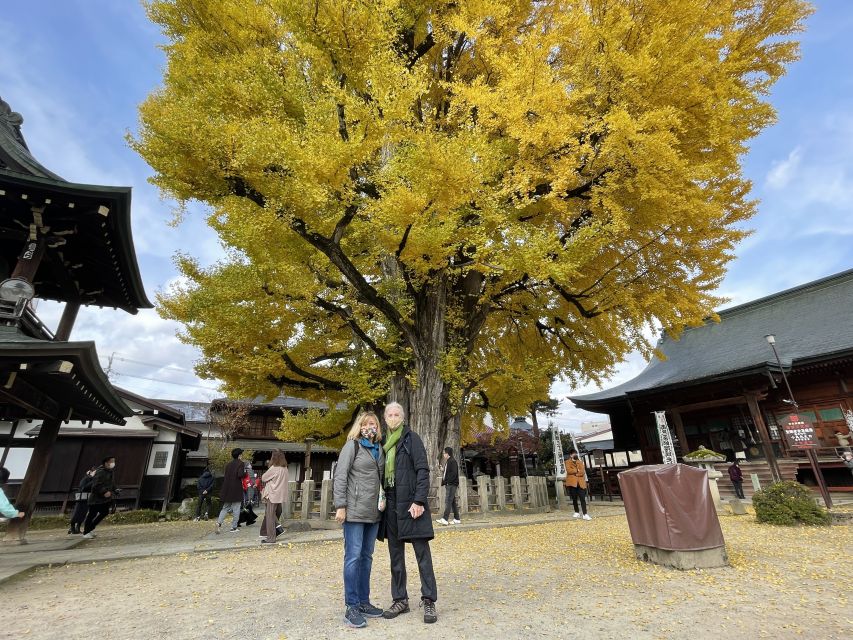 Takayama: Private Walking Tour With a Local Guide - Activity Details and Booking Information