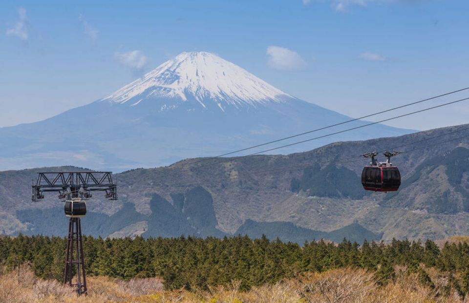 From Tokyo: Hakone and Owakudani Private Day Trip - How to Book the Hakone and Owakudani Private Day Trip