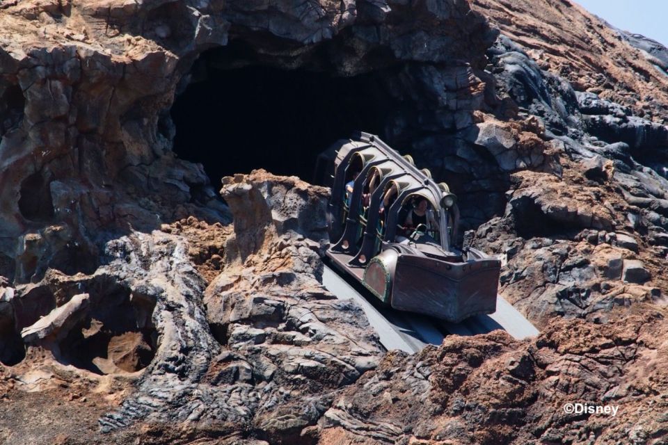 Tokyo: DisneySea 1-Day Passport - Selecting Participants and Date