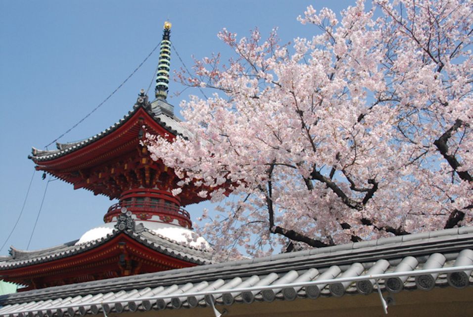 Kansai: Hanshin Railway 1-Day Tourist Pass - Additional Information