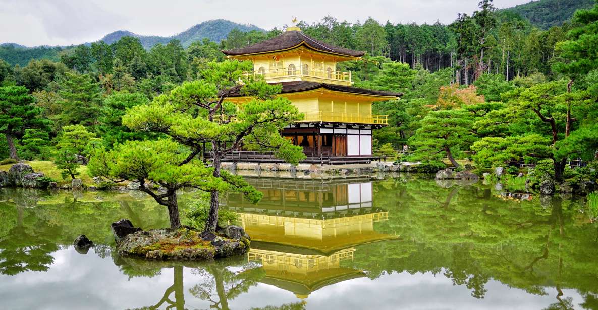 From Osaka or Kyoto: Kyoto & Nara 1 Day Bus Tour - Itinerary