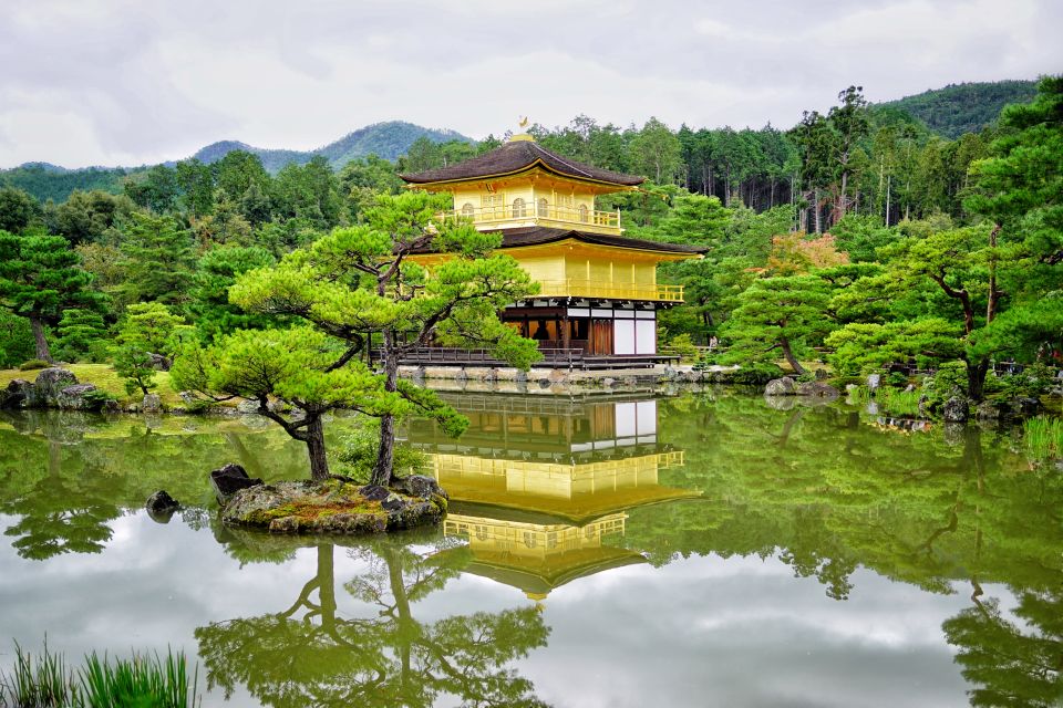 From Osaka or Kyoto: Kyoto & Nara 1 Day Bus Tour - Highlights