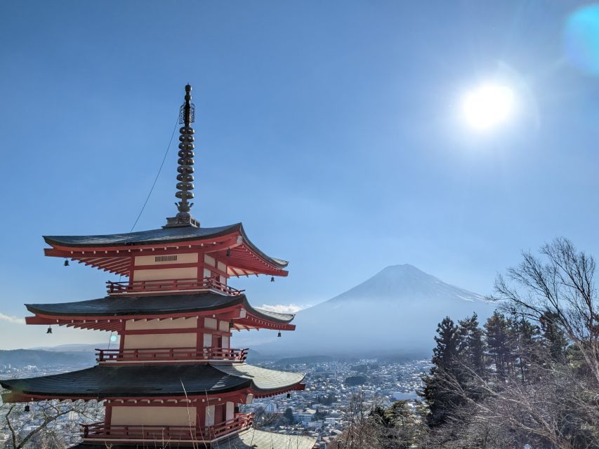 From Tokyo: Private Mount Fuji Tour With Medical Assistance - Experience