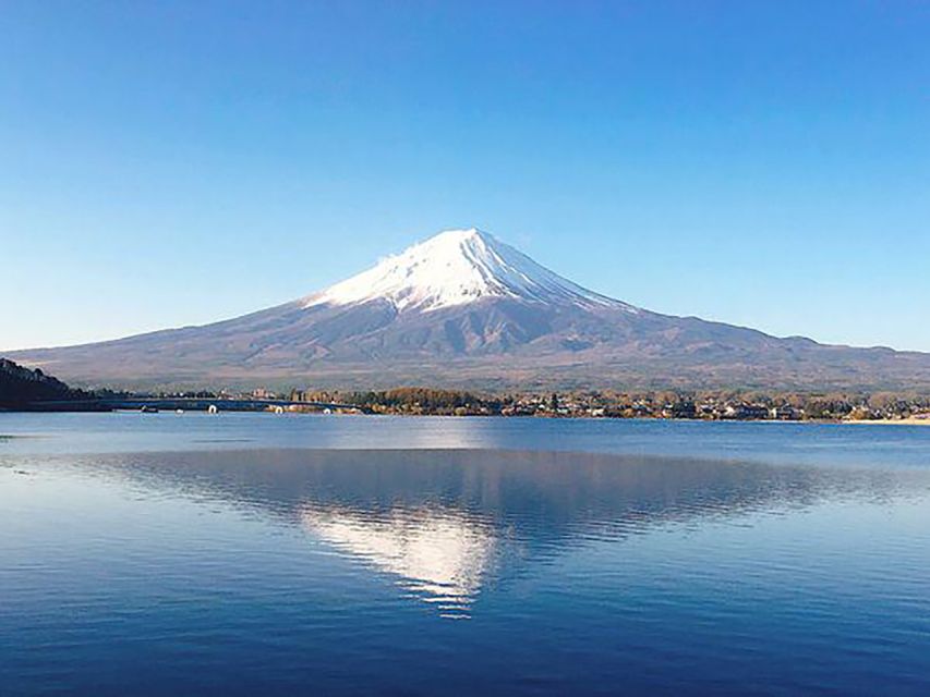 From Tokyo: Mt Fuji Classic Route Private Day Tour - Professional Customer Service