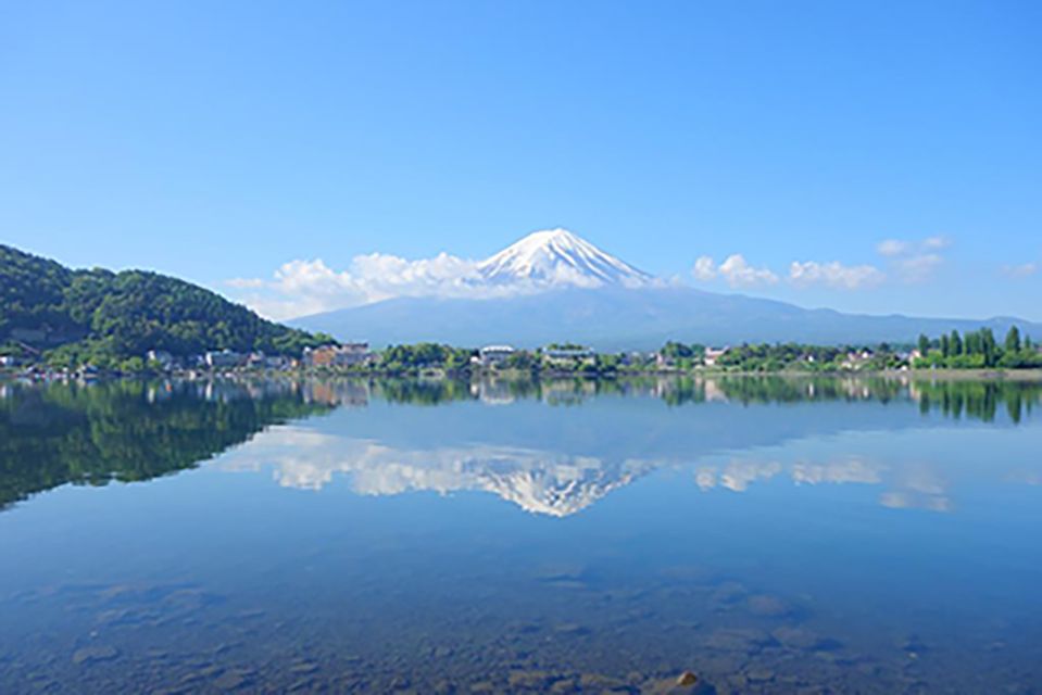 From Tokyo: Mt Fuji Classic Route Private Day Tour - Panoramic Views of Mount Fuji