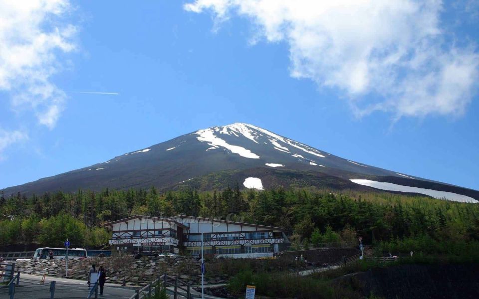 From Tokyo: Mt Fuji Classic Route Private Day Tour - Customer Reviews and Safety Concerns