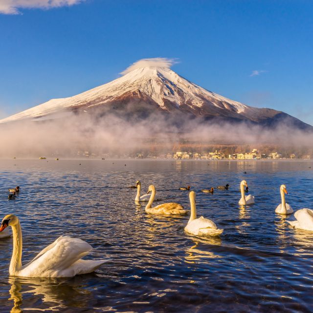 From Tokyo: Mount Fuji and Hakone Private Day Tour - Tour Highlights