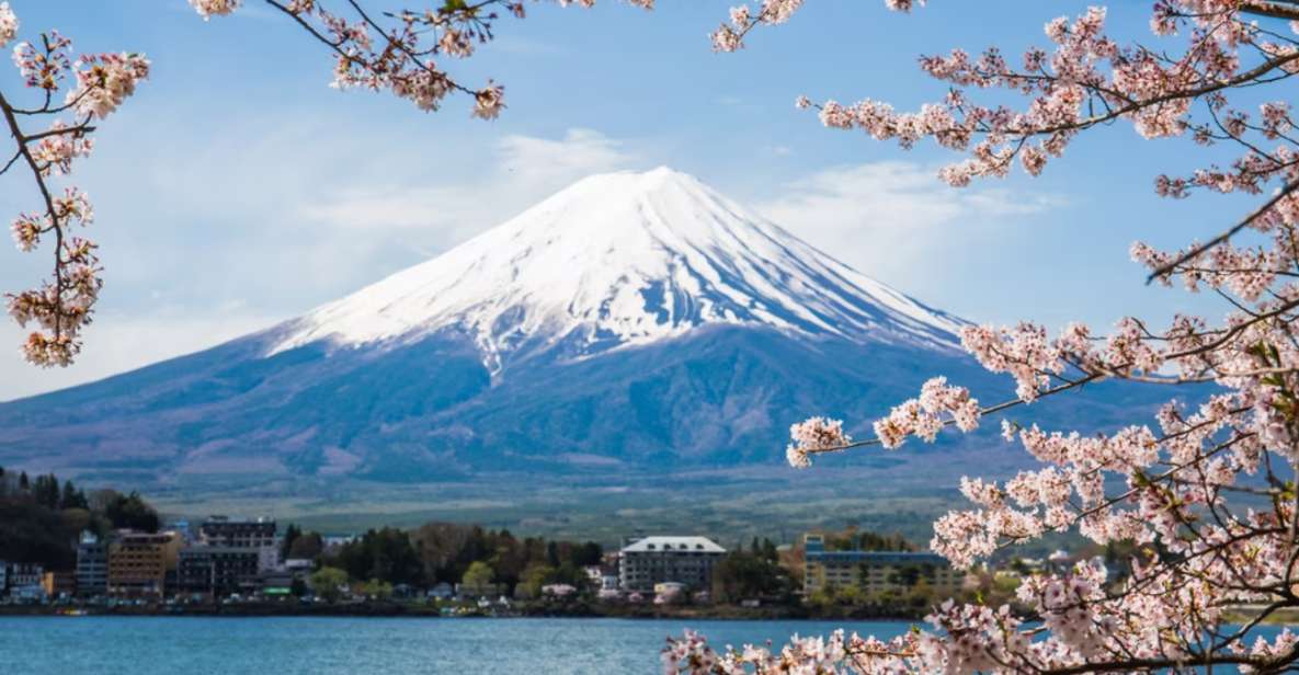 From Tokyo: 10-hour Mount Fuji Private Customizable Tour - Activity Details