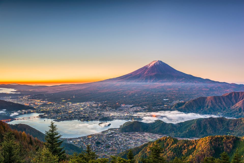 From Tokyo: Mt. Fuji or Hakone Private Sightseeing Day Trip - Reviews and Recommendations