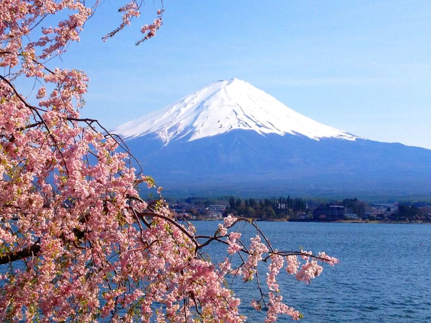 From Tokyo: Mt. Fuji or Hakone Private Sightseeing Day Trip - Additional Information