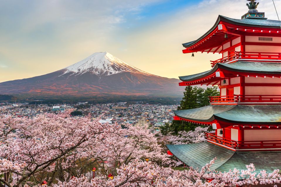 From Tokyo: Mt. Fuji or Hakone Private Sightseeing Day Trip - Highlights and Itineraries