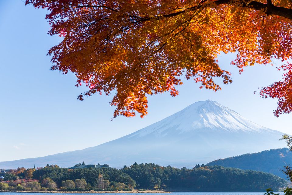 From Tokyo: Mt. Fuji or Hakone Private Sightseeing Day Trip - The Sum Up