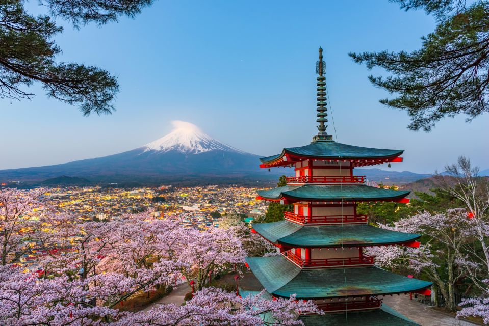 From Tokyo: Mt. Fuji or Hakone Private Sightseeing Day Trip - Location and ID