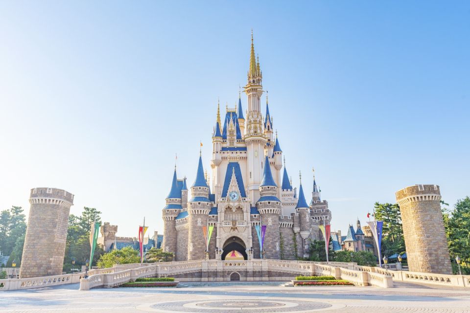 Tokyo Disneyland: 1-Day Entry Ticket and Private Transfer - Additional Information