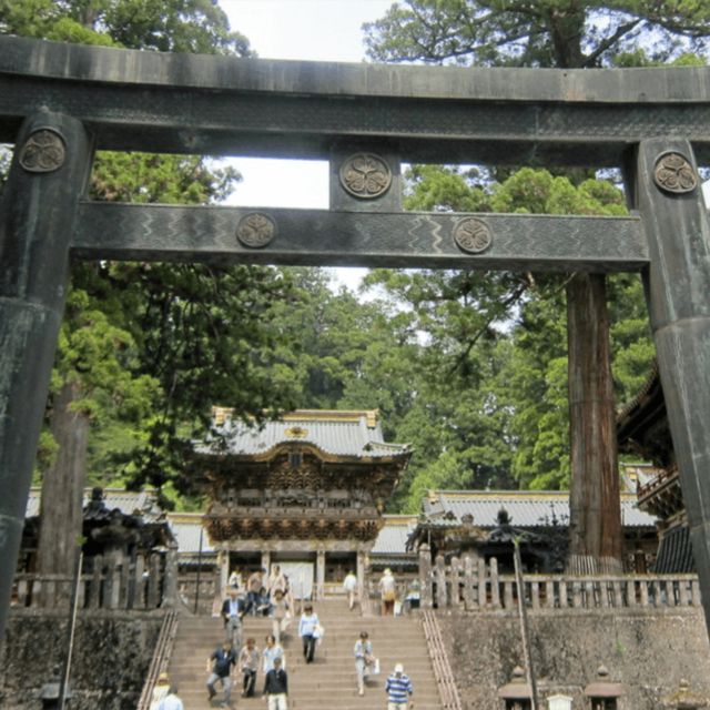 Nikko World Heritage Private Tour From Tokyo By Car & Van - Customer Review and Testimonial