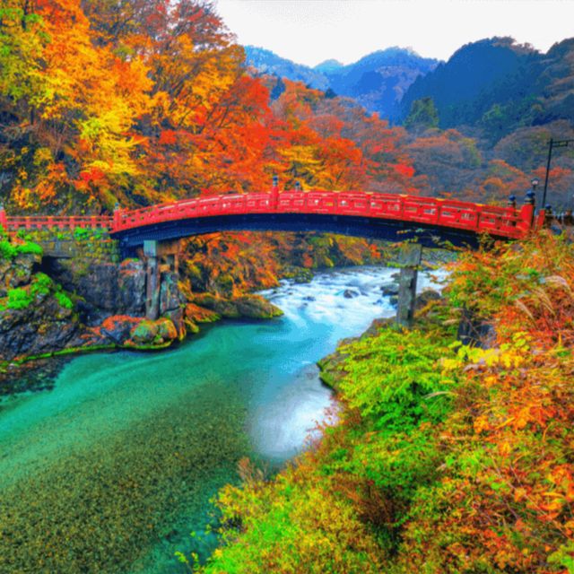 Nikko World Heritage Private Tour From Tokyo By Car & Van - The Sum Up