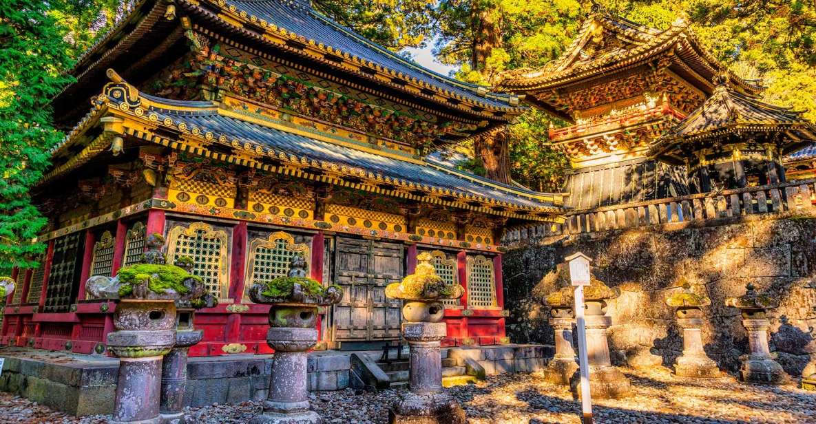 From Tokyo: 10-hour Private Custom Tour to Nikko - Experience