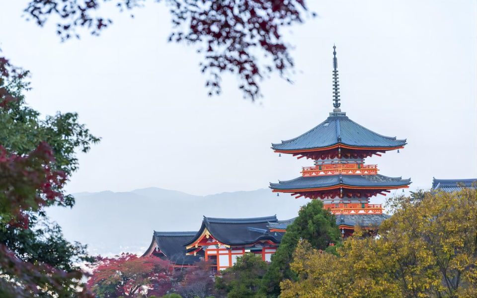 From Osaka: 10-hour Private Custom Tour to Kyoto - Cultural Enrichment