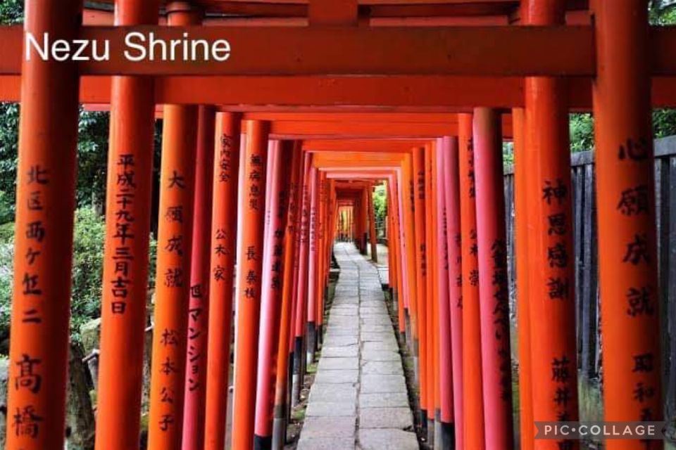 Tokyo: Private Full Day Sightseeing Tour - Location