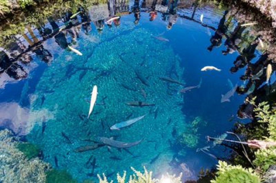 Tokyo: Mt.Fuji, Oshino Hakkai, and Onsen Hot Spring Day Trip - Frequently Asked Questions