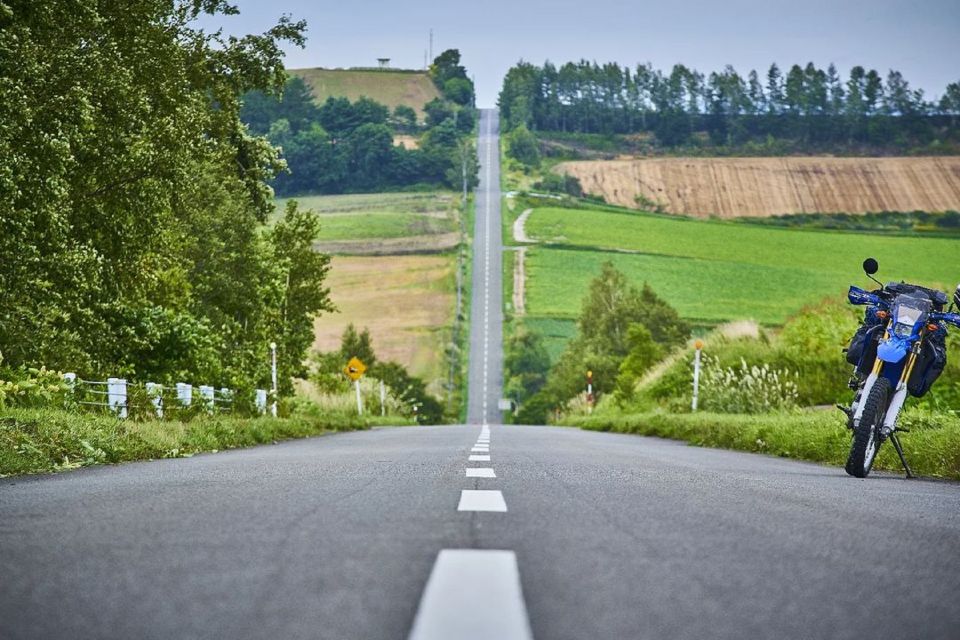 Sapporo: Biei Blue Pond & Furano Flower Farm Trip With Lunch - Tour Ratings and Guides Commentary