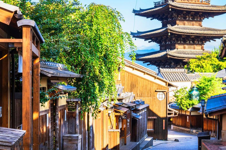 From Kyoto/Osaka: Kyoto and Nara Guided 1-Day Trip - Trip Details and Information