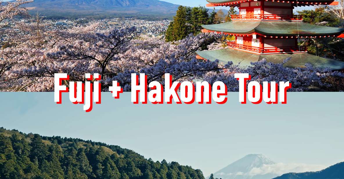Tokyo to Mount Fuji and Hakone Private Full-day Tour - Itinerary Overview