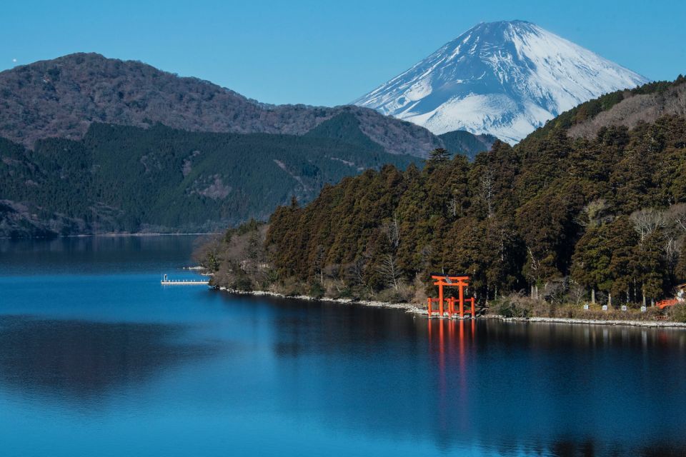 Tokyo to Mount Fuji and Hakone Private Full-day Tour - Customer Reviews