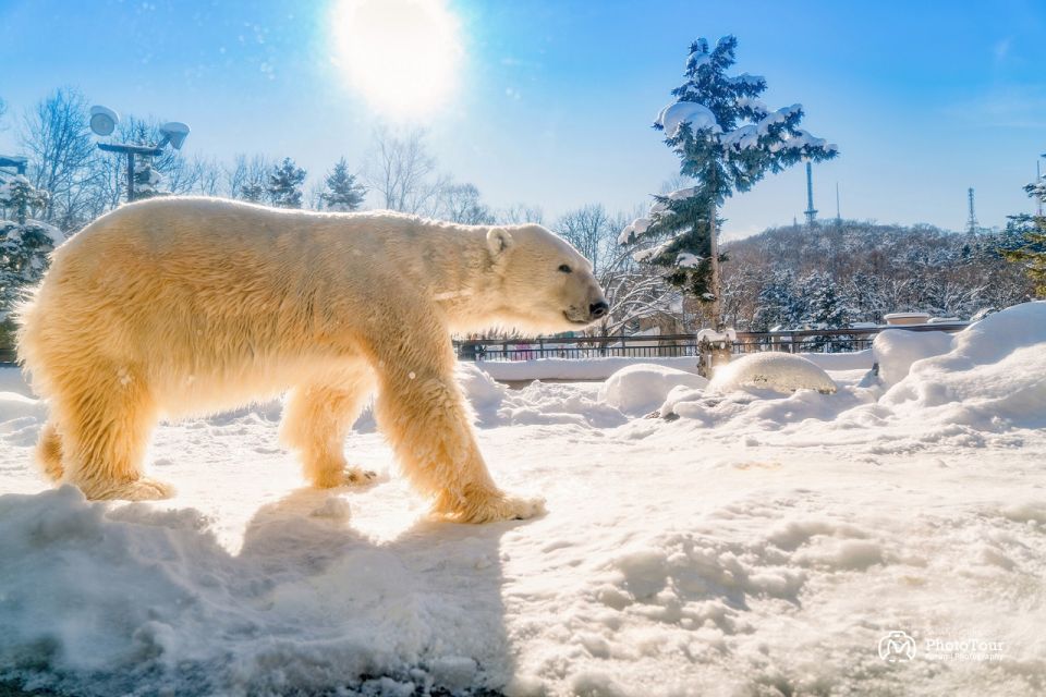 Hokkaido: Asahiyama Zoo, Furano, Beiei Blue Pond 1-Day Tour - Exploring Biei and Furano