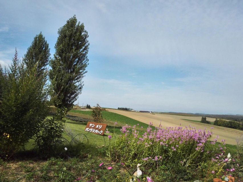 Hokkaido: Asahiyama Zoo, Furano, Beiei Blue Pond 1-Day Tour - The Sum Up