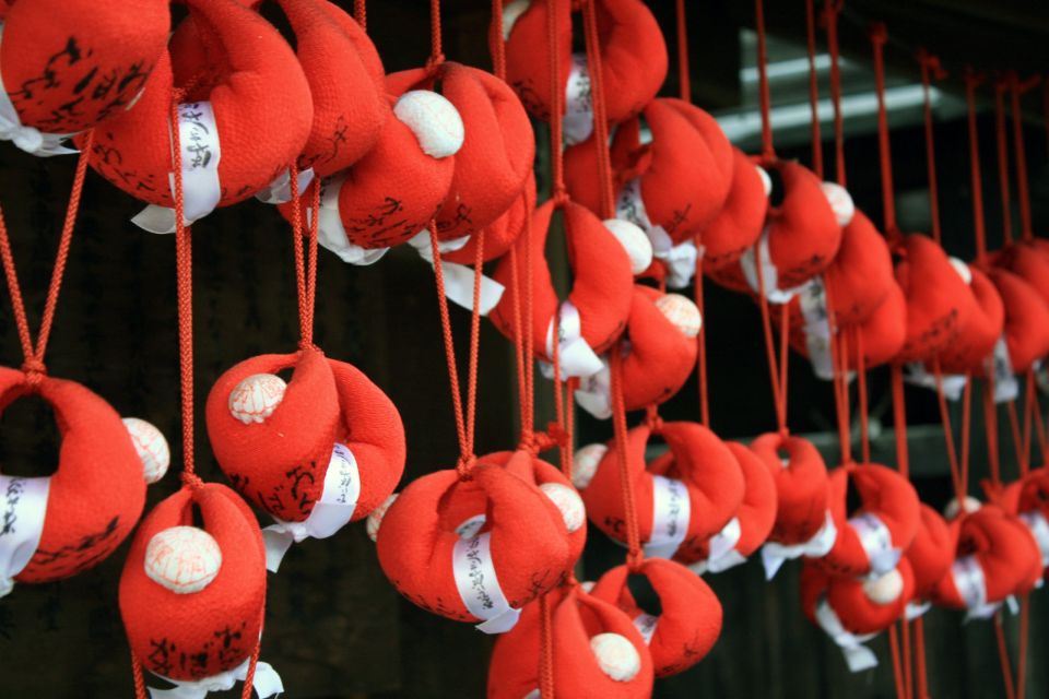 Takayama Half Day Tour (Private Guide) - Tour Experience