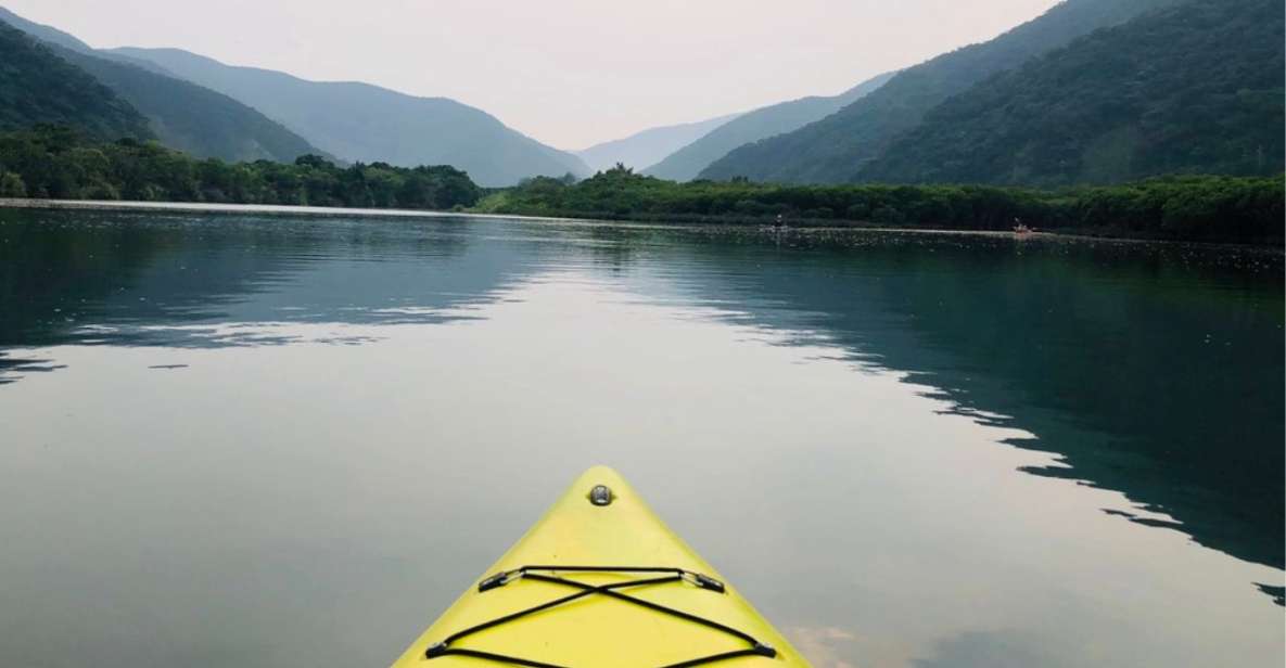Amami: Morning Mangrove Kayaking Tour - Experience Highlights