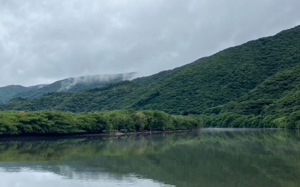 Amami: Morning Mangrove Kayaking Tour - Activity Details and Logistics