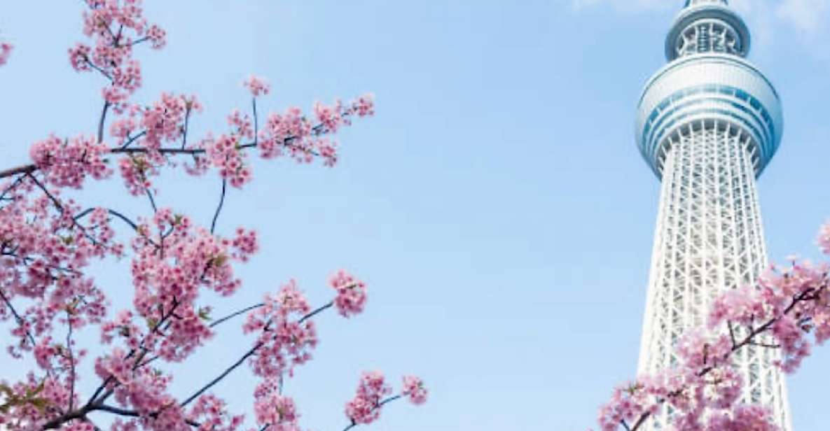 1 Day Tokyo Tour: Customizable (Up-To 6 Persons) - Activity Details