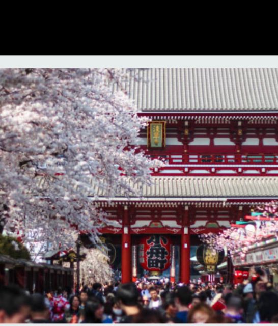 1 Day Tokyo Tour: Customizable (Up-To 6 Persons) - Disappointments