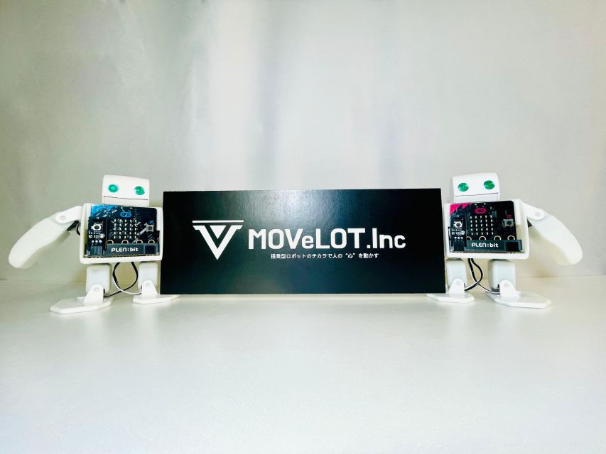 Tokyo : Robot Pilot Attraction and VR Shooting Facility. - Important Information