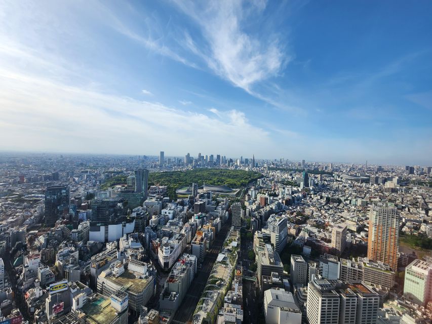 Discover Tokyo in a Day: From Tradition to Trend - Vibrant Atmosphere and Avant-garde Fashion in Shibuya
