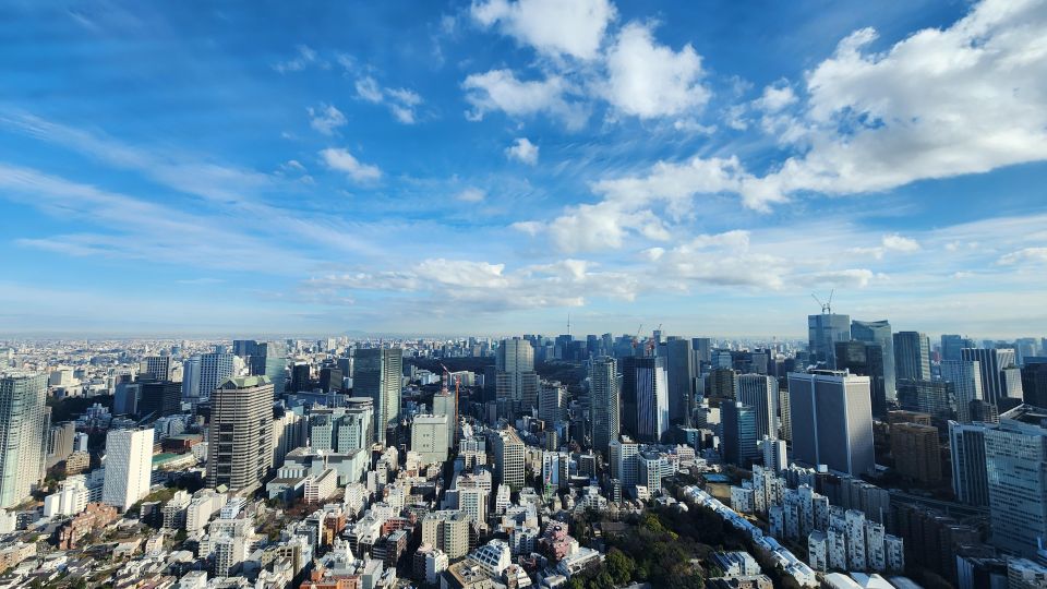Discover Tokyo in a Day: From Tradition to Trend - The Sum Up