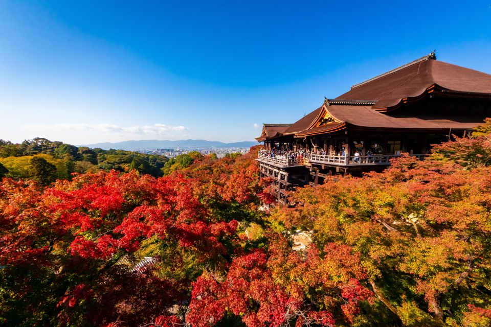 Kiyomizu Temple and Backstreet of Gion Half Day Private Tour - Quick Takeaways