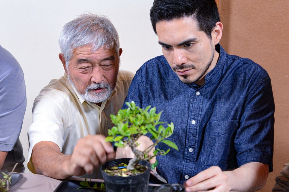 1DAY- Bonsai & Sencha Tea Experience: Pastime of the Litera - Bonsai & Sencha Tea Experience